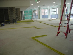 preparing the new ILC office site - 6 March 2012