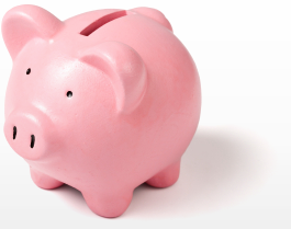 pink piggy bank standing on an isolated white background