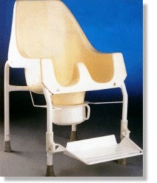 Shower/Toilet Chair