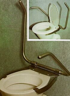 Armrest Toilet Support
