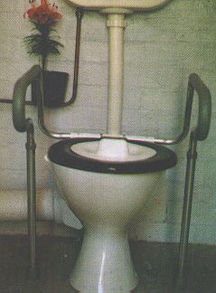Toilet Safety Frame