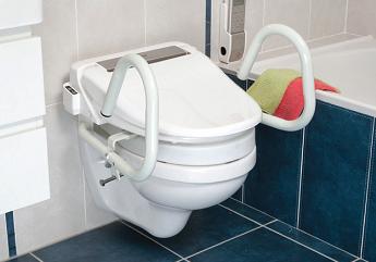 3-in-1 Toilet Support Rail System 