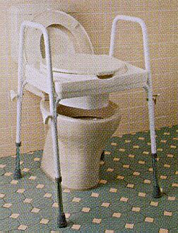 Ashby Raised Toilet Seat On Frame