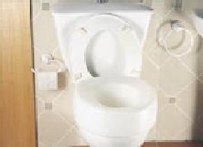 Raised Toilet Seat