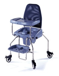 Toilet / Shower Seat