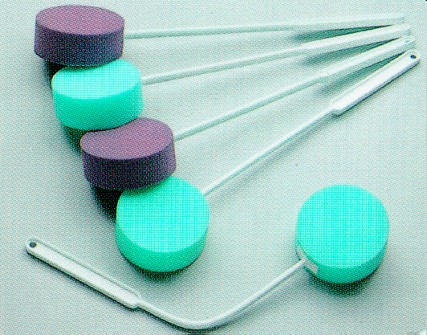 Long-Handled Sponge