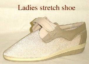 Stretch Shoe