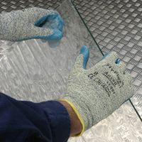 Gloves