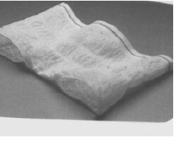 Net Stretch Pants