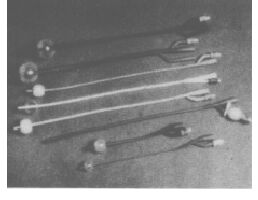 Foley Catheter
