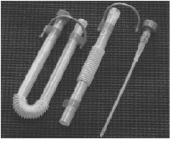Cliny Catheter