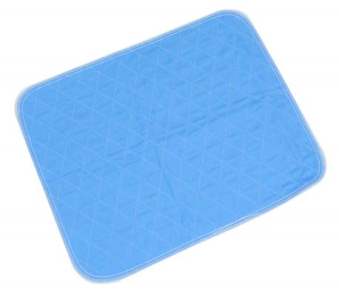 Blue Chair and Bed Pad