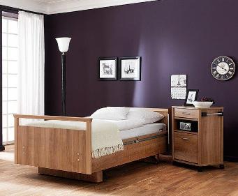 WiBo Carisma 300 Bariatric Bed