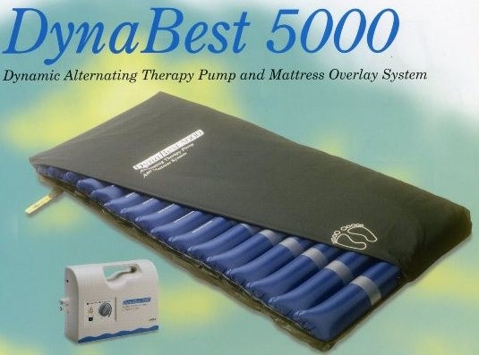 Dynabest 5000 Overlay