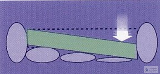 Apex Cross Section