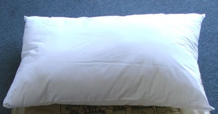 Tetra Pillow