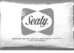 Sealy Pillow