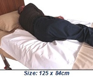 Pelican Waterproof Blanket