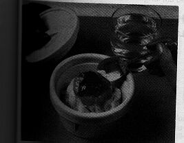 Insulated Bowl