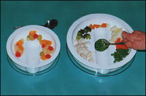Adams Plates