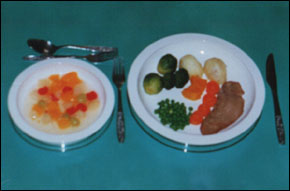 Adams Hospital Plates