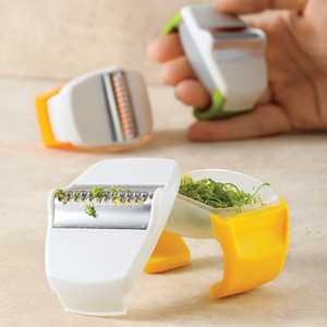Chef?n PalmZester