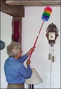 Telescopic Duster