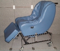 Tub Water Chair