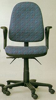 Ergonomic Office Chair
