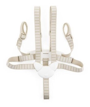5 Point Harness