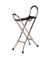 Walking Stick With Canvas Sling Seat