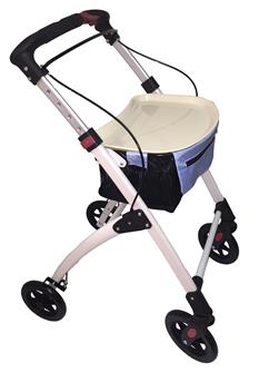 Ellipse Indoor Walker