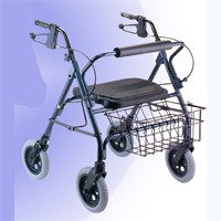 Low Mack Walker