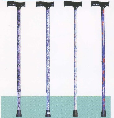 Patterned Walking Sticks