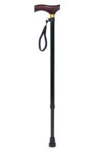 Extending Walking Stick