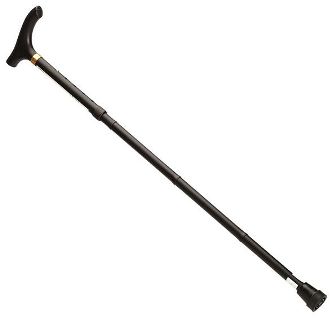 Folding Cane