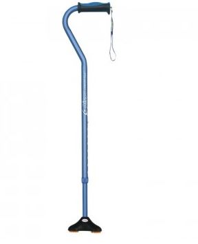 Cane In Blue Colour