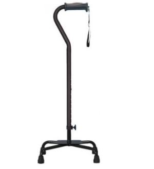 Hugo Quad Cane