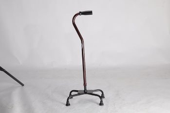 4 Pod Walking Stick