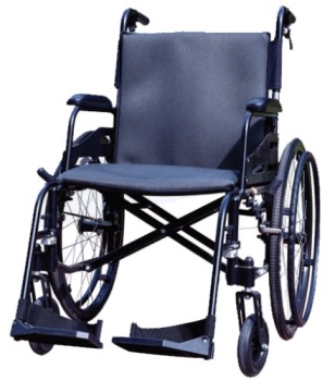 43232036