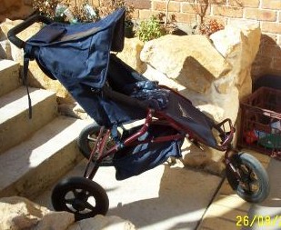 Sports Buggy