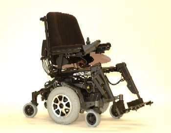 Back Legs Front Qtr