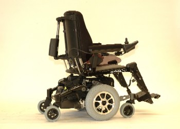 Back Legs Rear Qtr