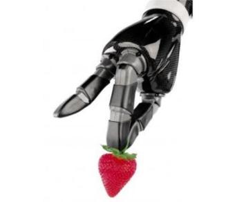 Robotic Arm System