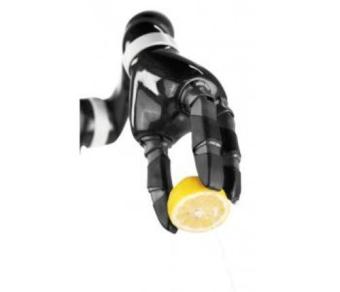 Robotic Arm System