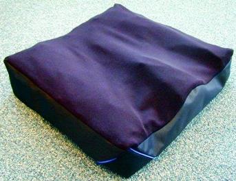 Academy Vector Cushion