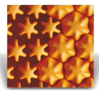 Honeycombe cells