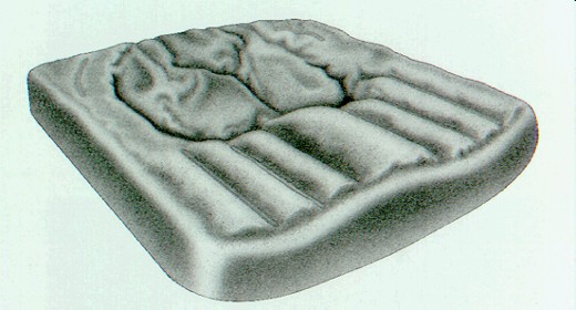 Jay Care Cushion