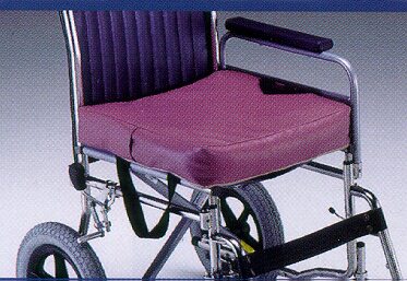 Gel Carry Cushion