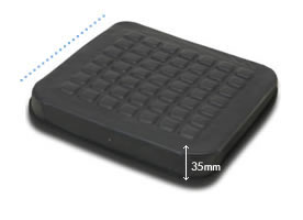 Standard Regular Cushion